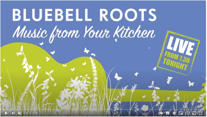 Bluebell Roots January 2021