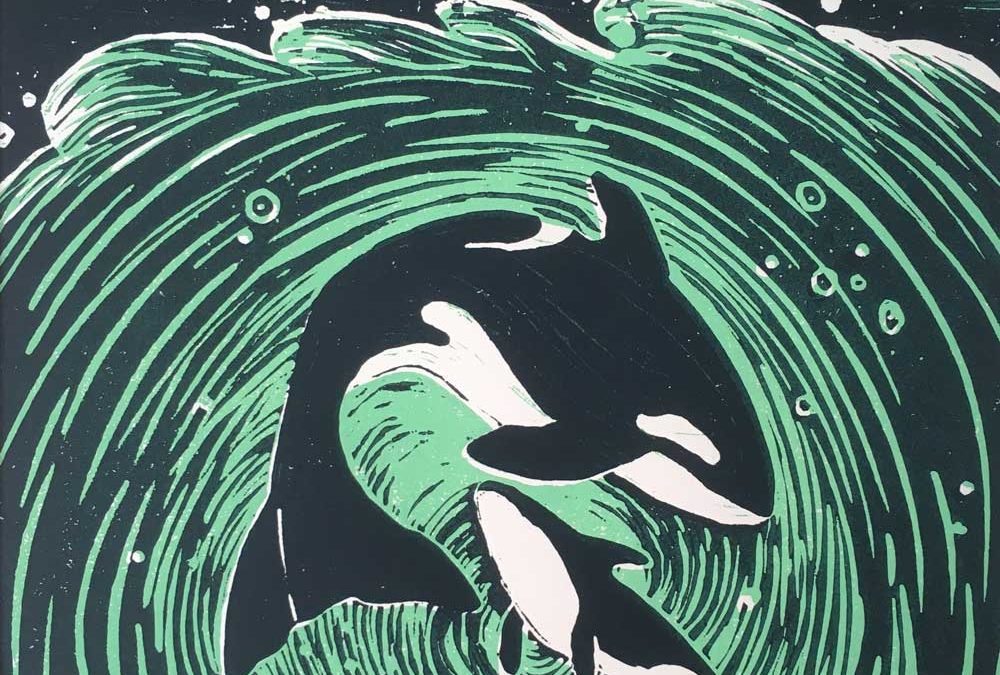 Orcas by Josie Tipler