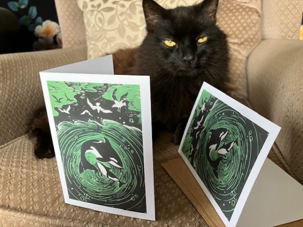 cat with greetings cards