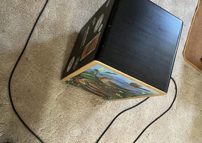 microphone on cajon
