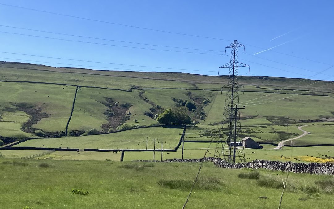 Quick Tour Up North