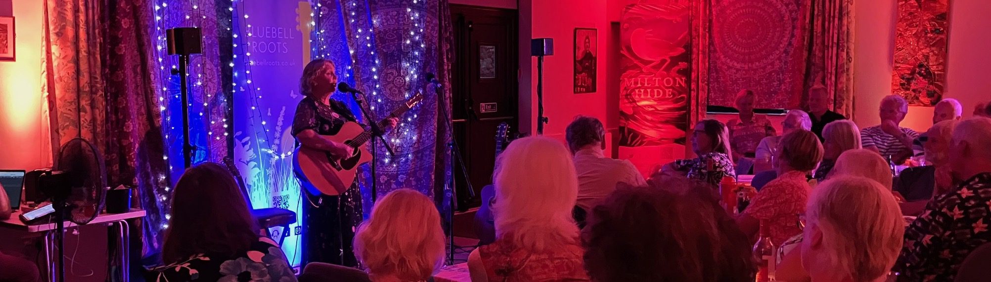 Donna Canale July 2025 IMG_6698 Woman plays guitar and sings into mic against a blue backdrop with mood lighting, in a hall full of seated audience bathed in red light
